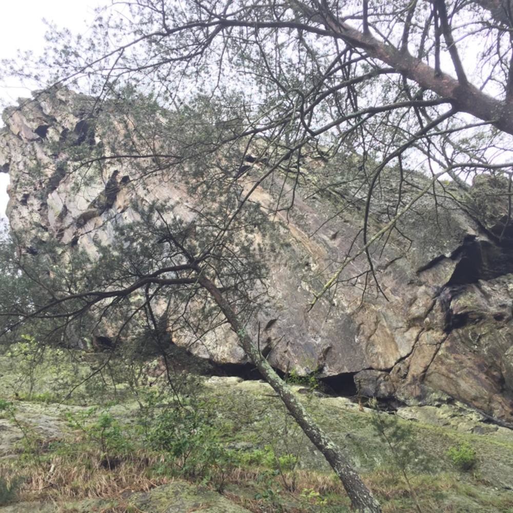 Meet your Posher, Elaine